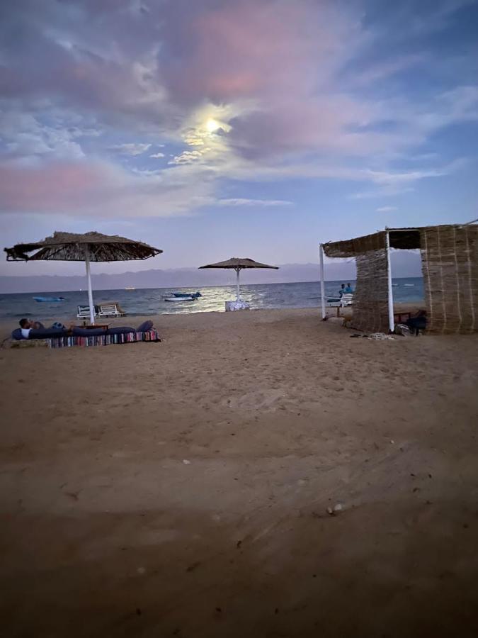 Hotel Nuweiba Oasis Extérieur photo