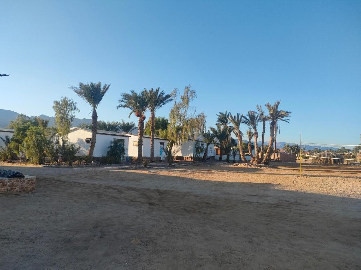 Hotel Nuweiba Oasis Extérieur photo